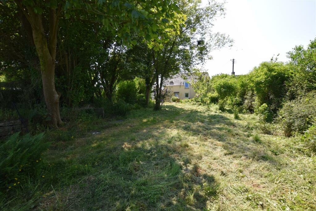 Garden Looking back to House
