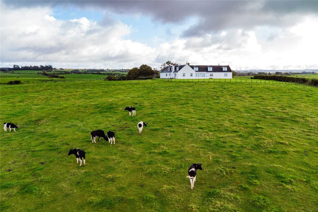 Grounds