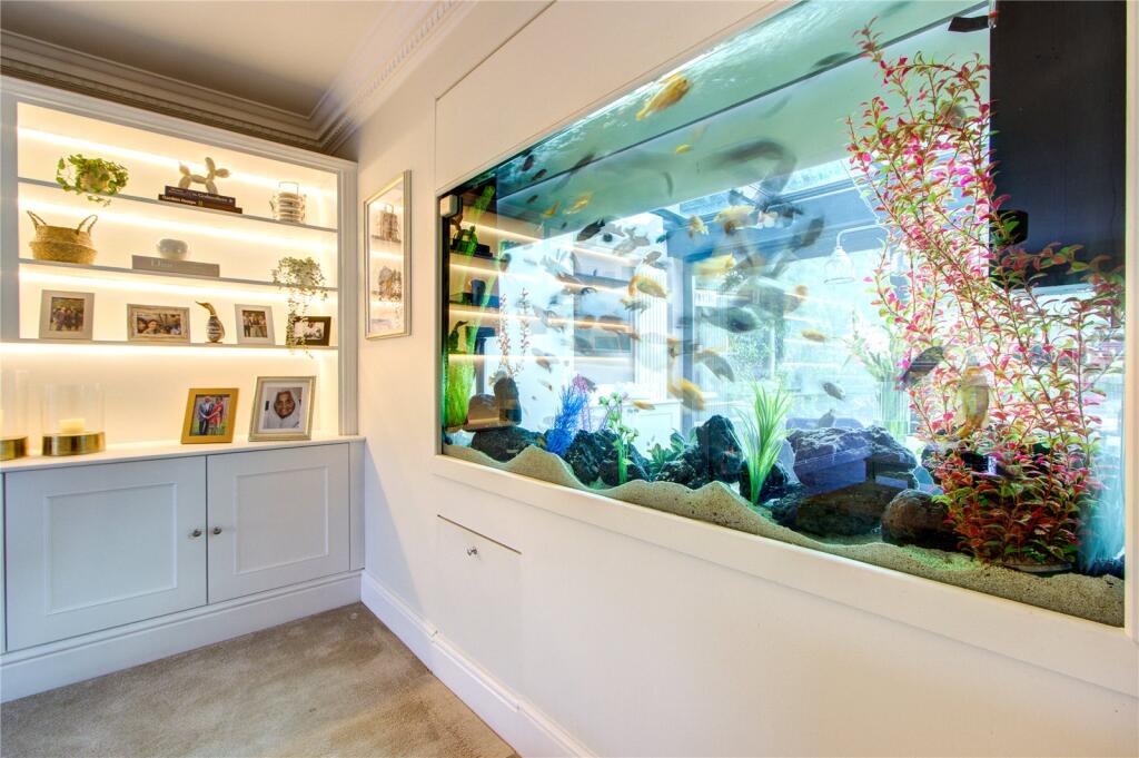 Fish Tank