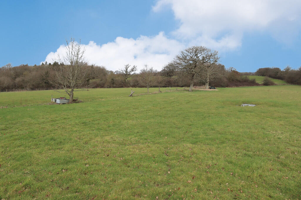Field 2