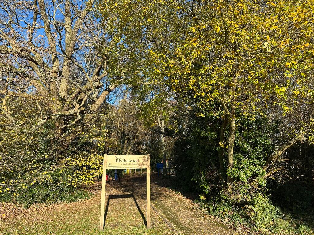 Adjacent to open space