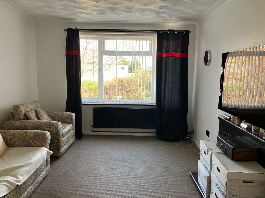 P  Medium  T202502201122.jpg