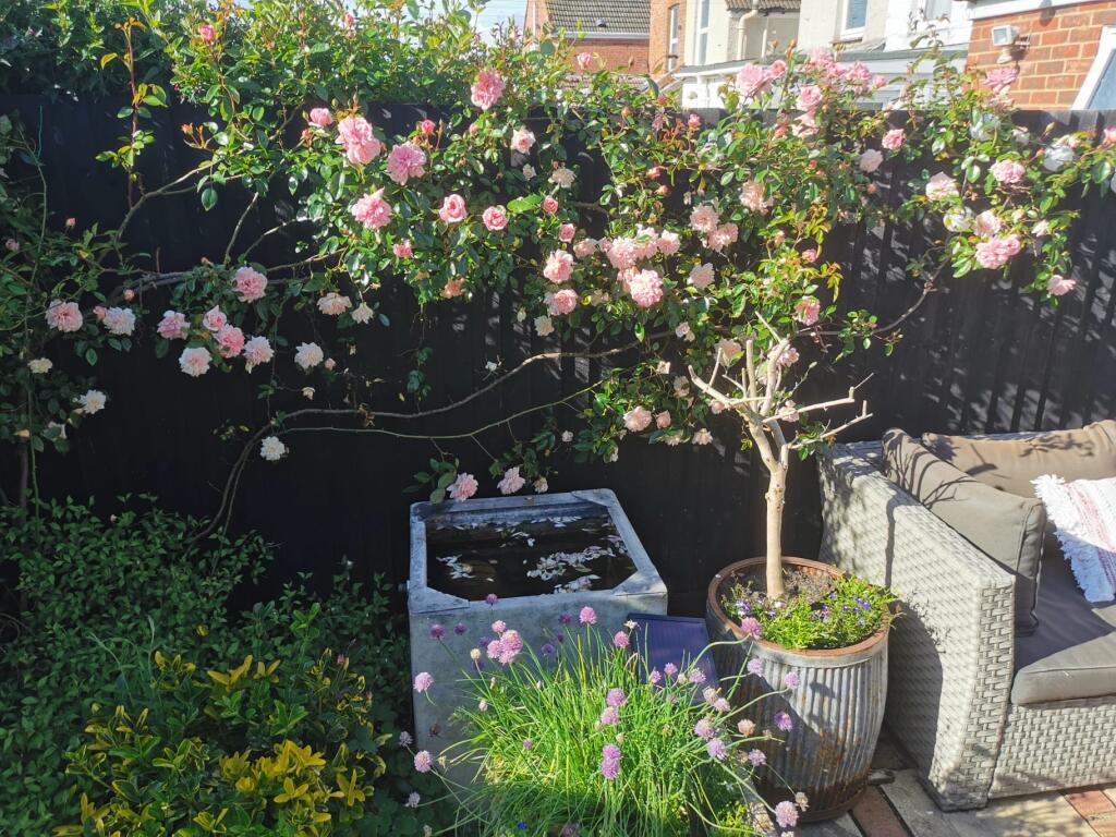 general 2d7978a4-db2