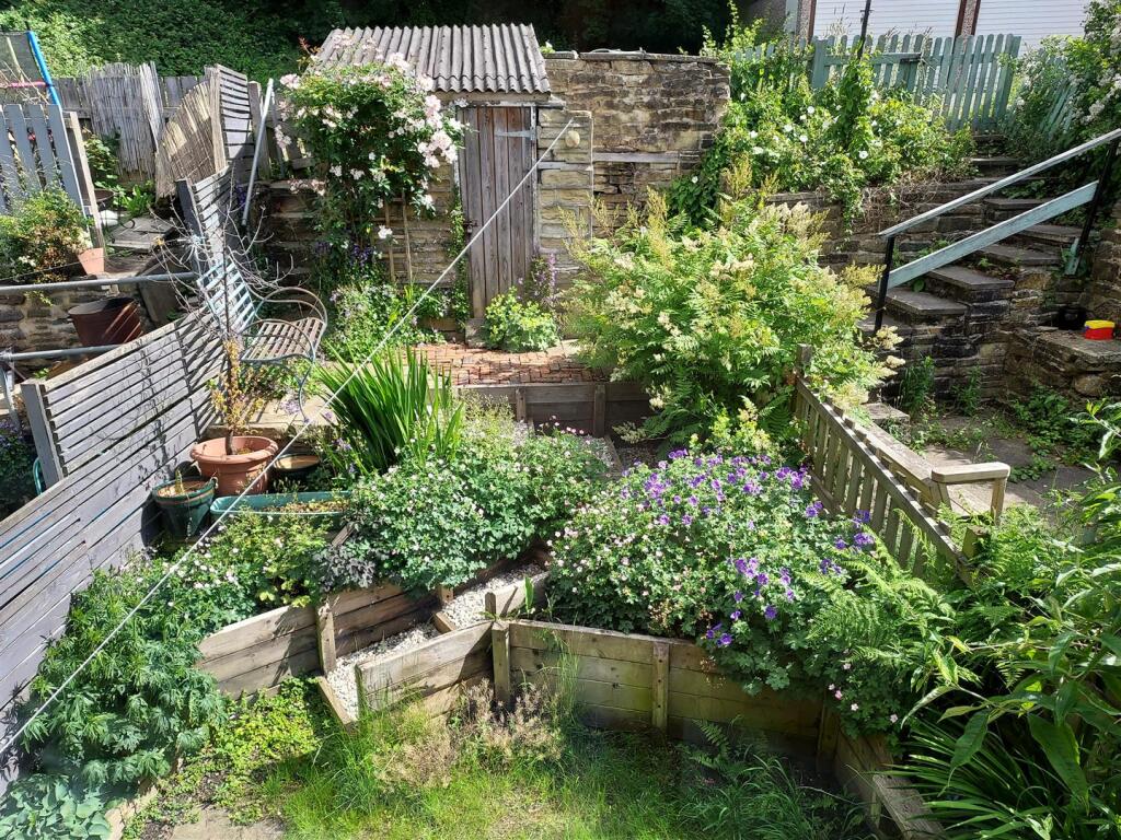 Garden Photo 3.jpg