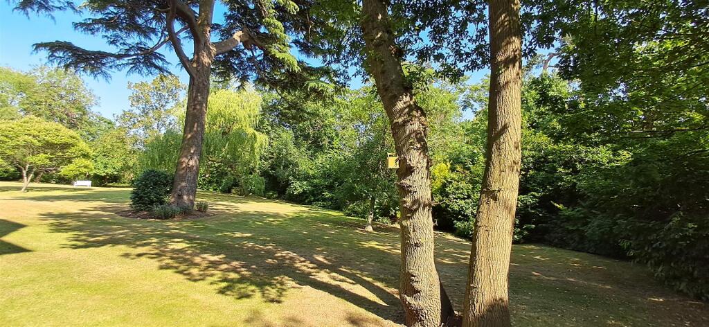 Communal Grounds: