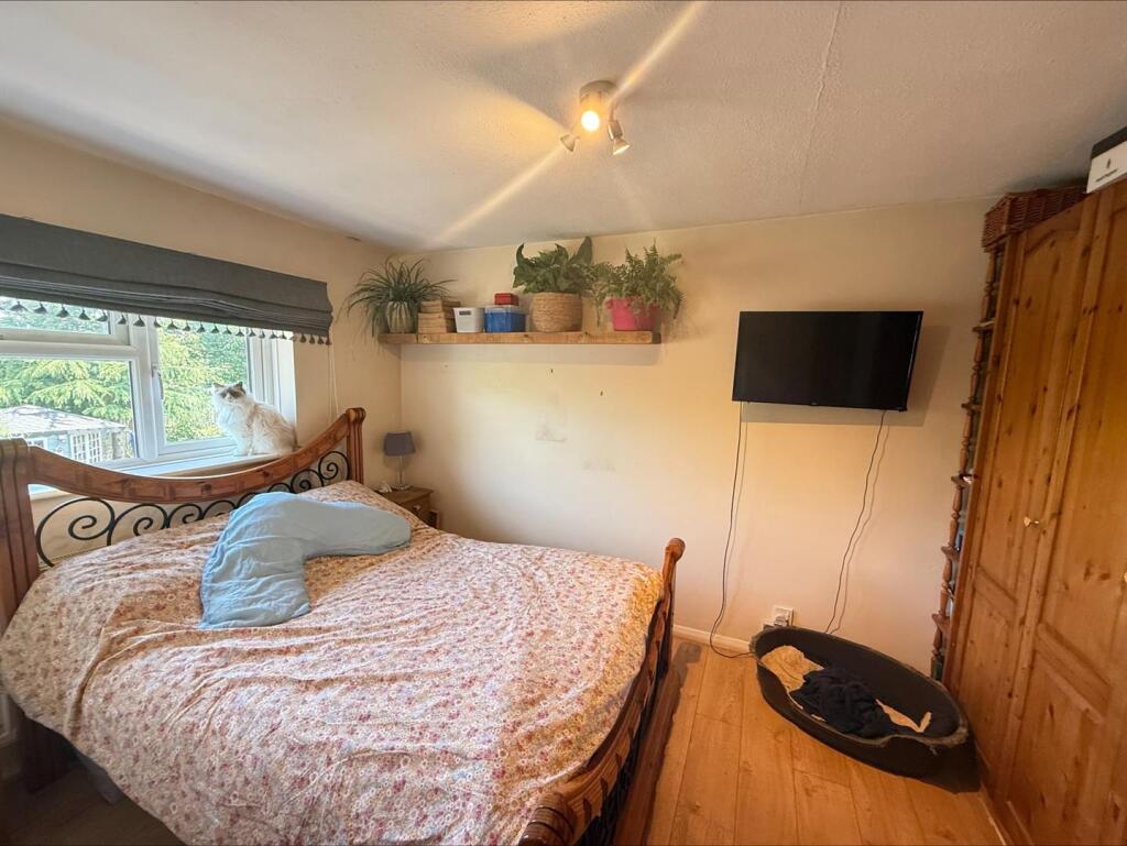 processed-5675498A-3D23-4318-A156-CE20FCD83FB8.jpe