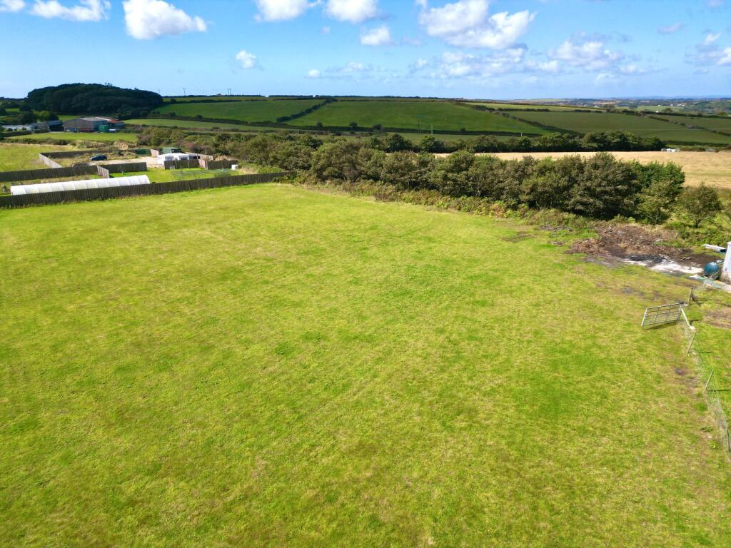 Paddock/Land