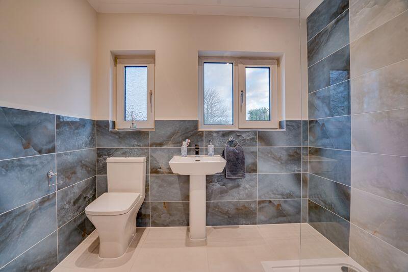 Luxurious shower room