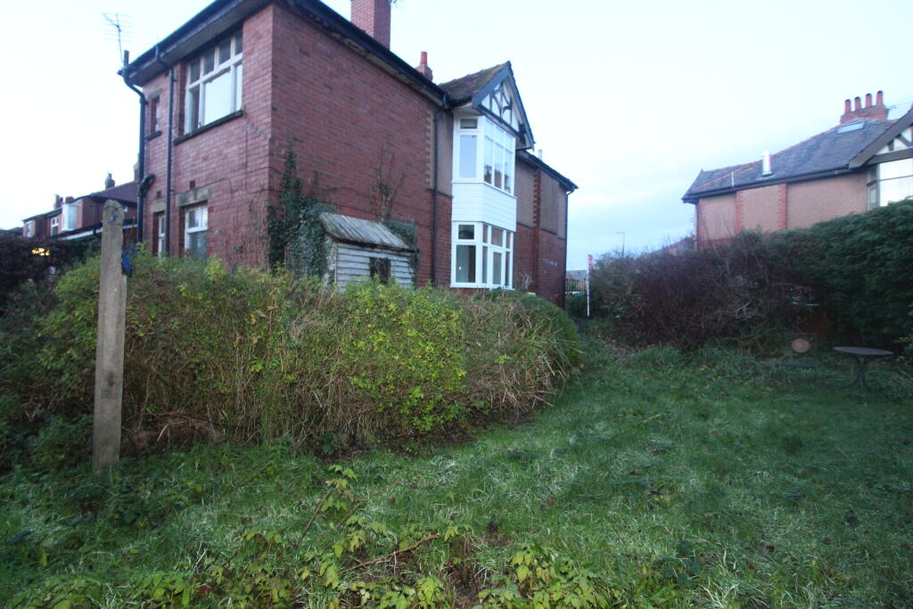 Garden 1 T202512031641.jpg