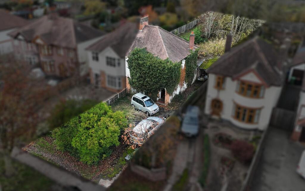 DJI_20250308151140_0464_D.JPG