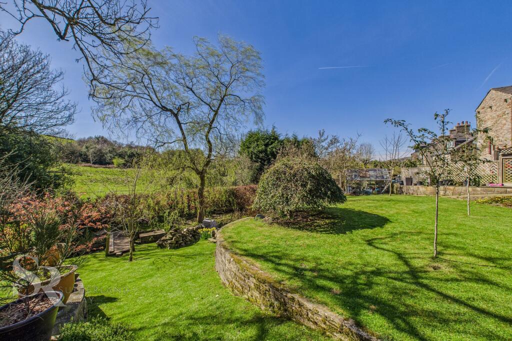 Rear Garden - Lawns