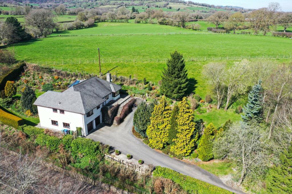 DJI_0999.jpg
