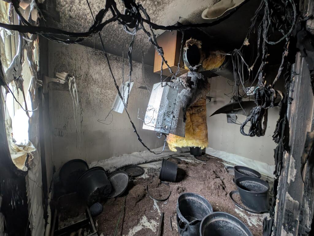 PXL 20250414 142617063-min T202504151119.jpg