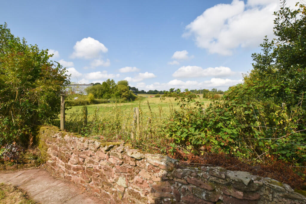 View from Garden