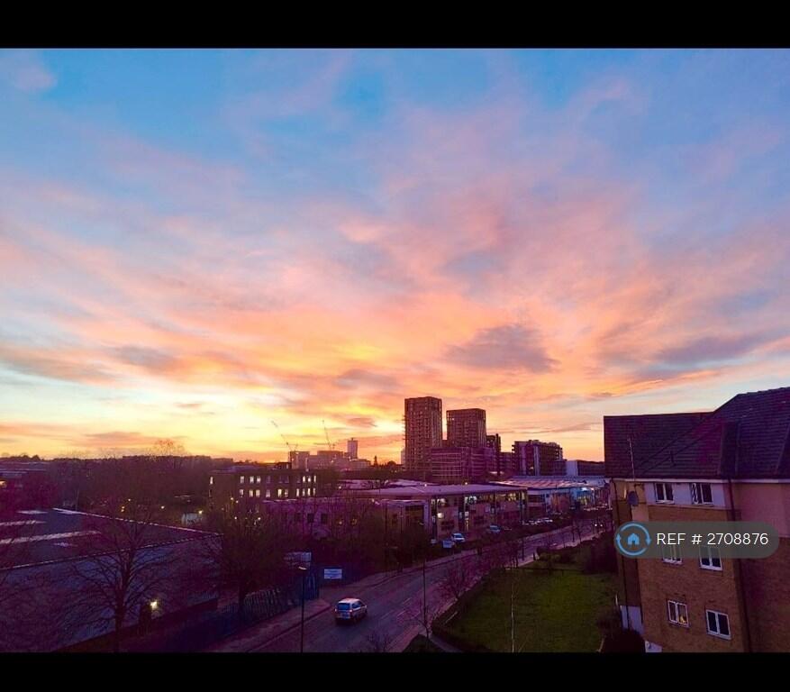 Evening View