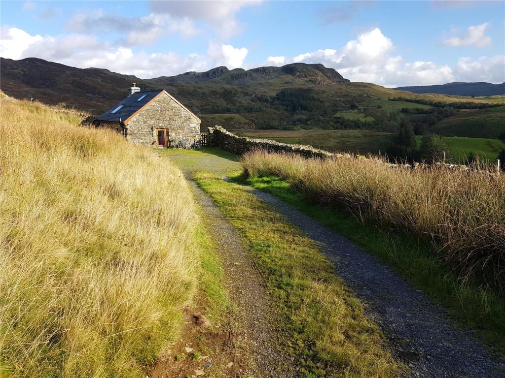 Picture 19