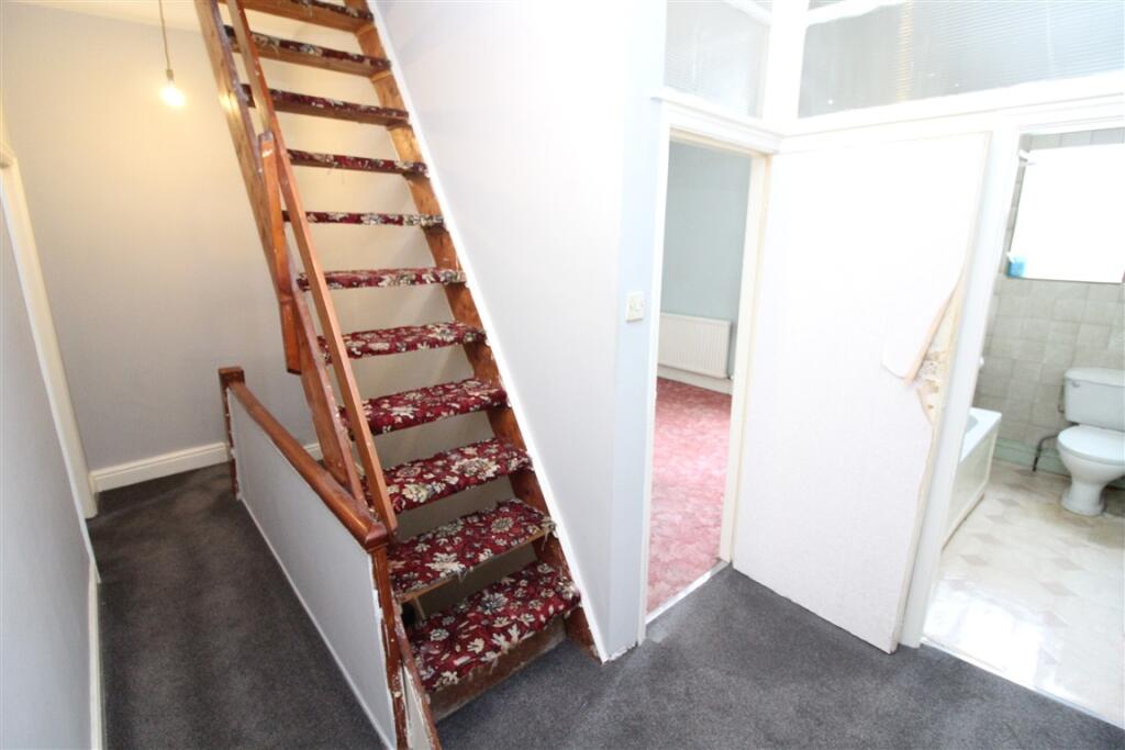 IMG 6605  Medium  T202509181619.jpg