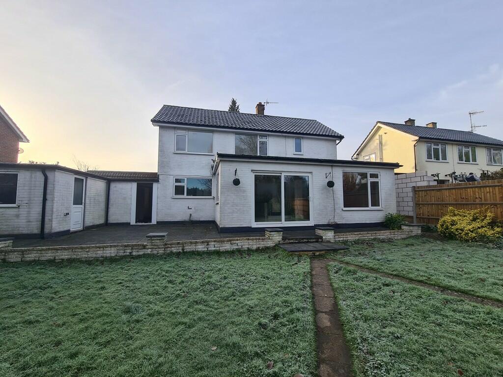 WhatsApp Image 20...