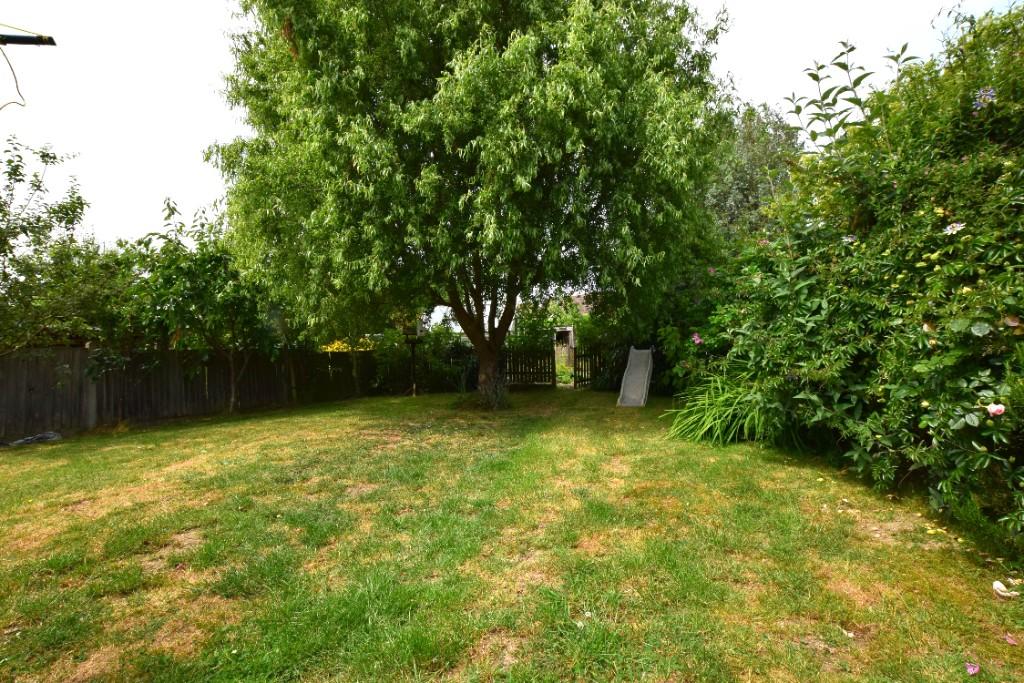 Garden 2