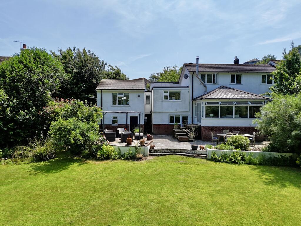 dji_fly_20250617_21342¿pm_0406_1750176688682_photo