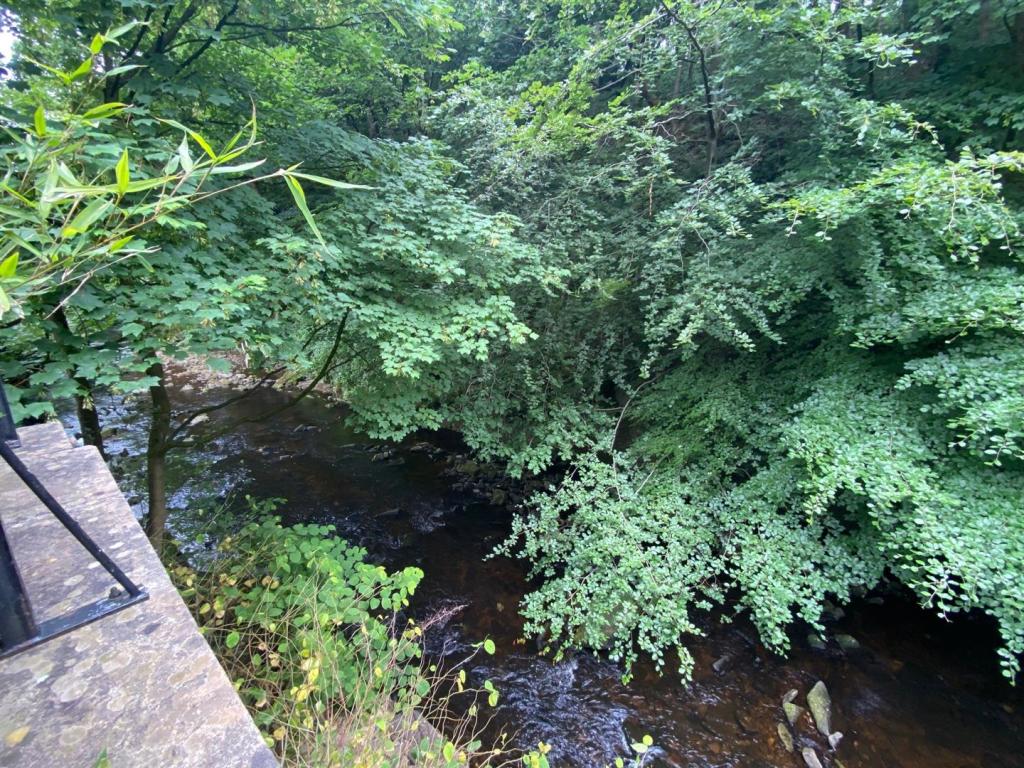 brook 3.jpg
