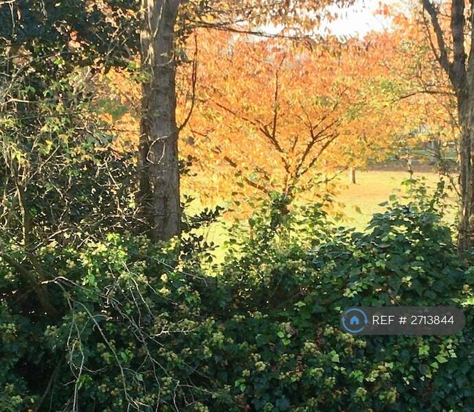 View Overlooking Park