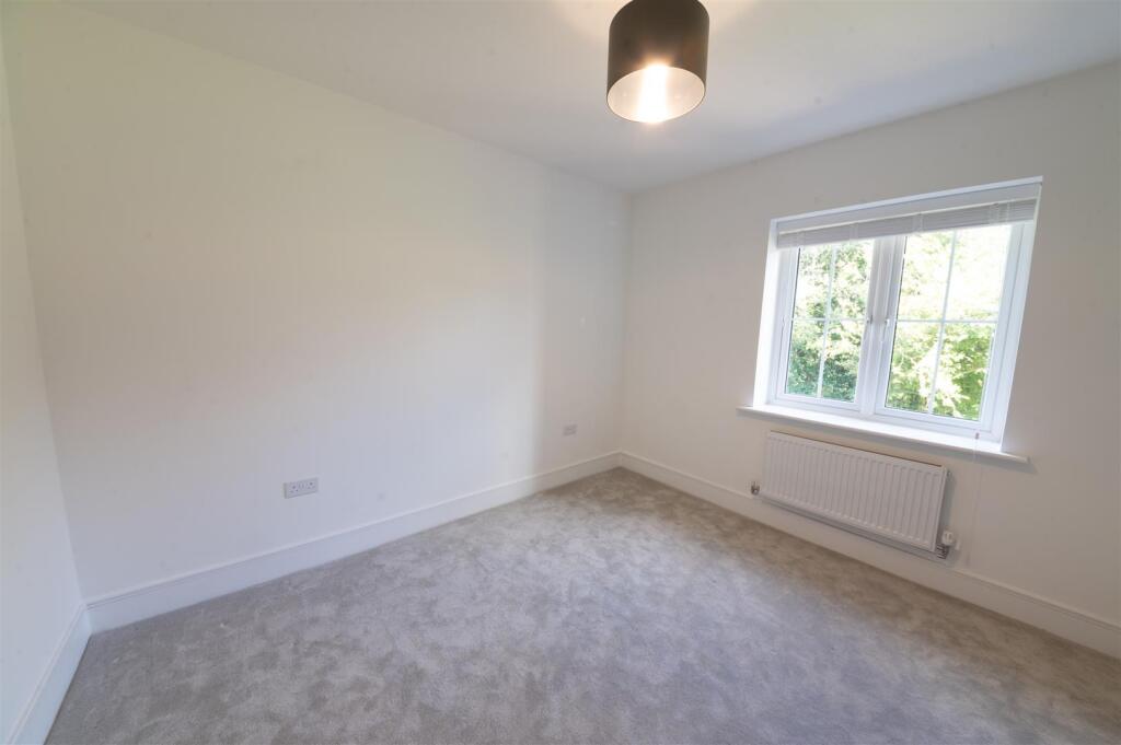 tnlettings_120823-18.jpg