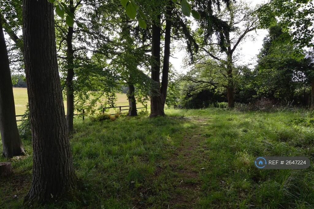 Beautiful Woodland Walks On Property