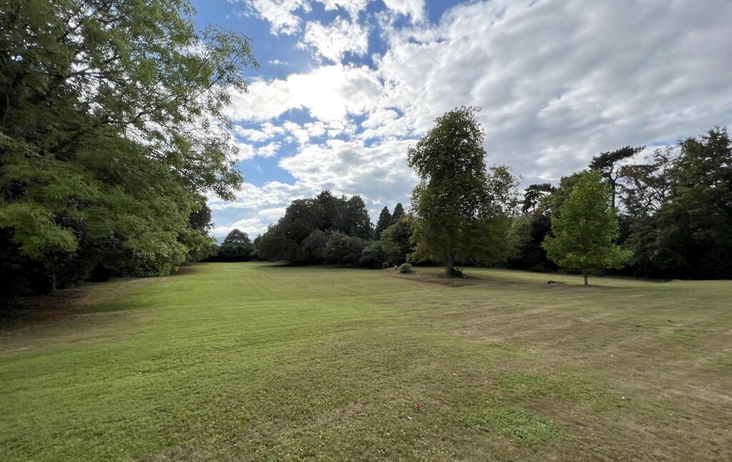 lawns