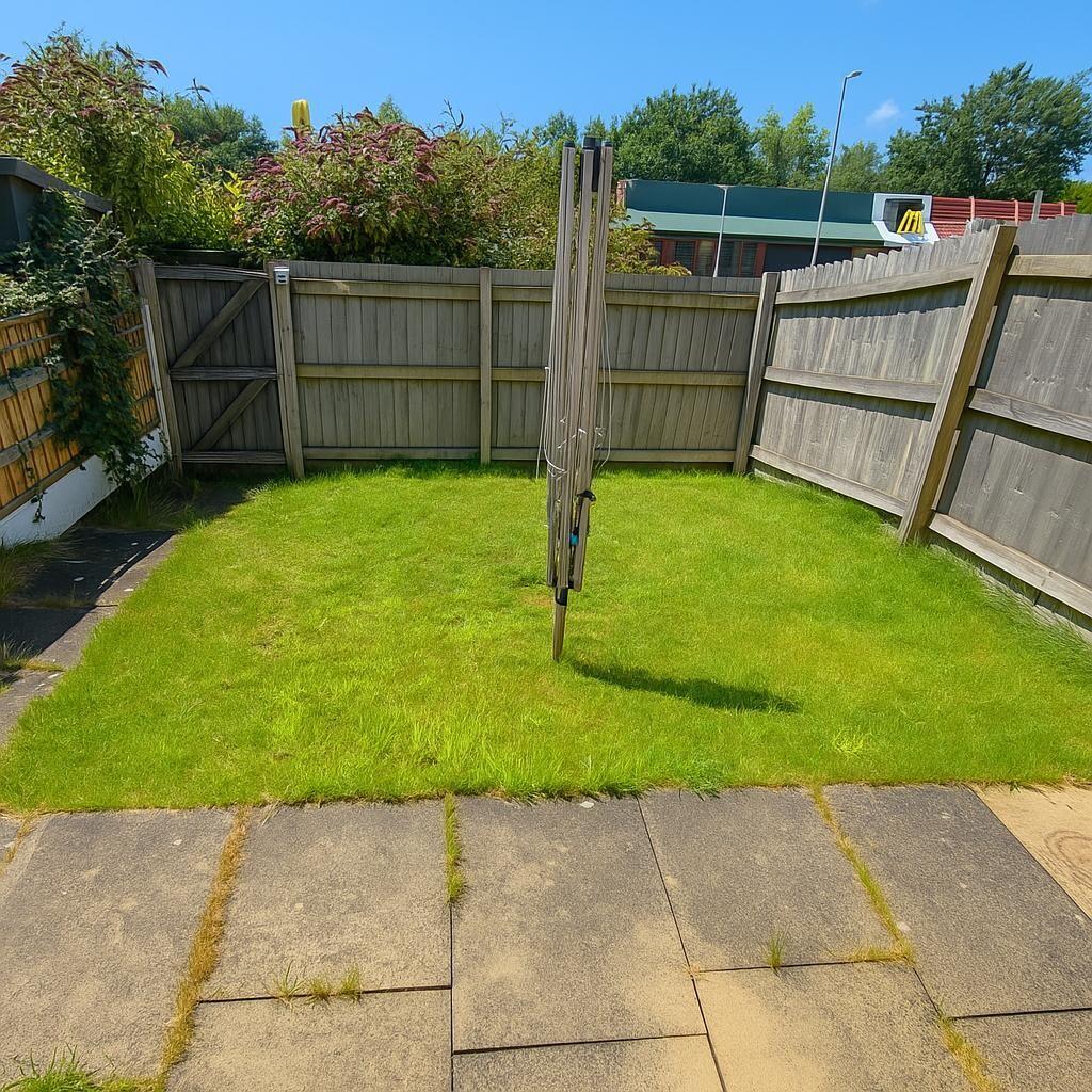 IMG-20250729-WA00...