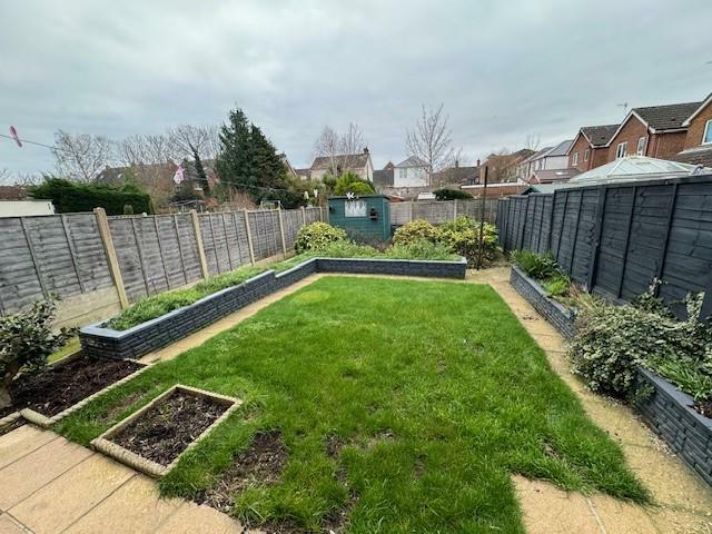garden 2.jpg