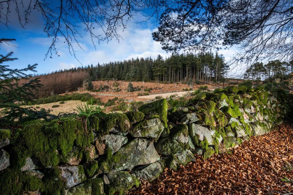 Surrounding local woodland area to Bucksburn