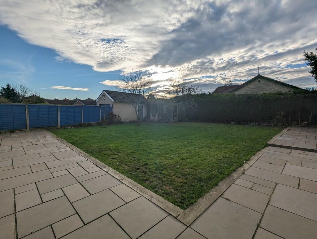 garden 1