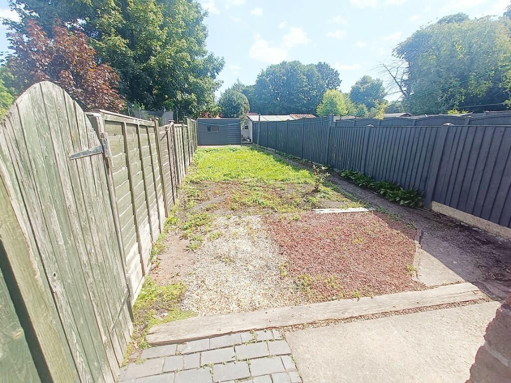 Back garden