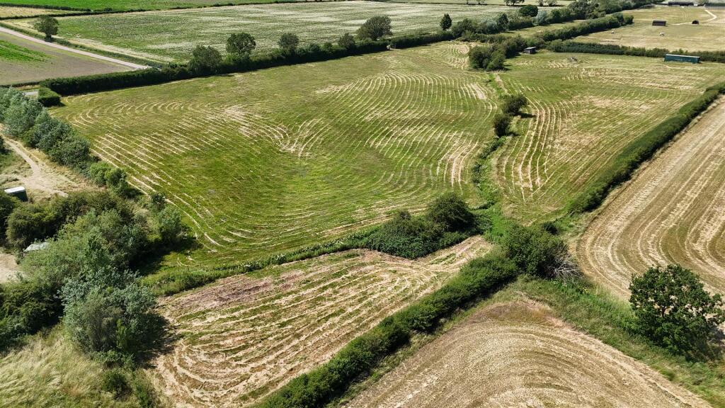 DJI_20250302191408_0843_D.JPG