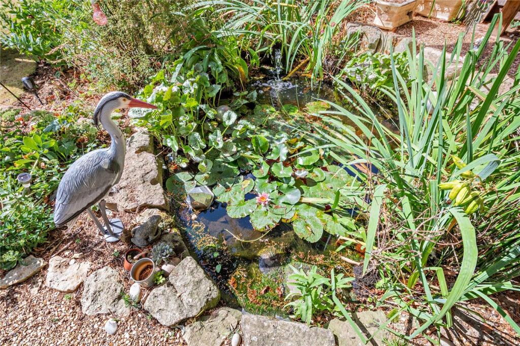 Pond