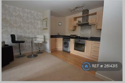 Kitchen / Dinning Area