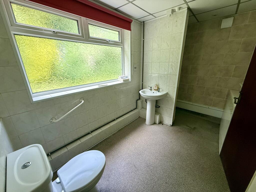 IMG 1393 T202506112225.jpeg