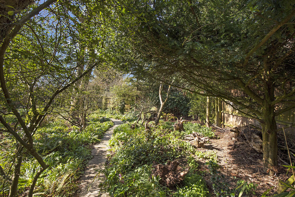 The Old Reading R...