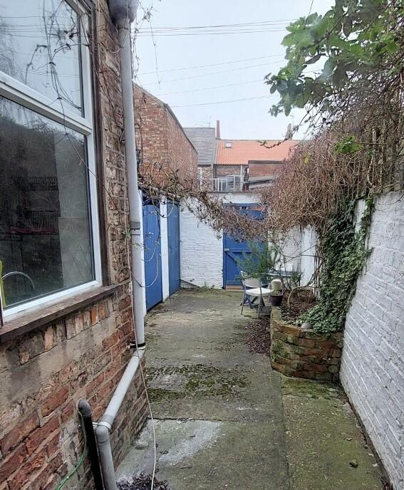 Rear Yard