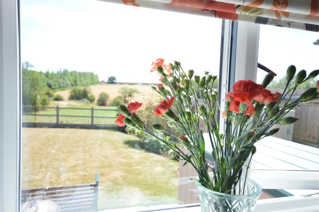 view from kitchen window