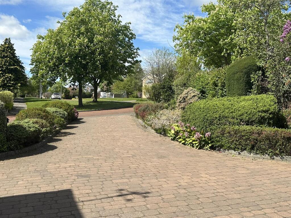 IMG_8688.JPEG