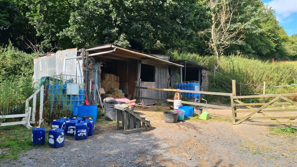 2024-08-06 16.02.59.jpg