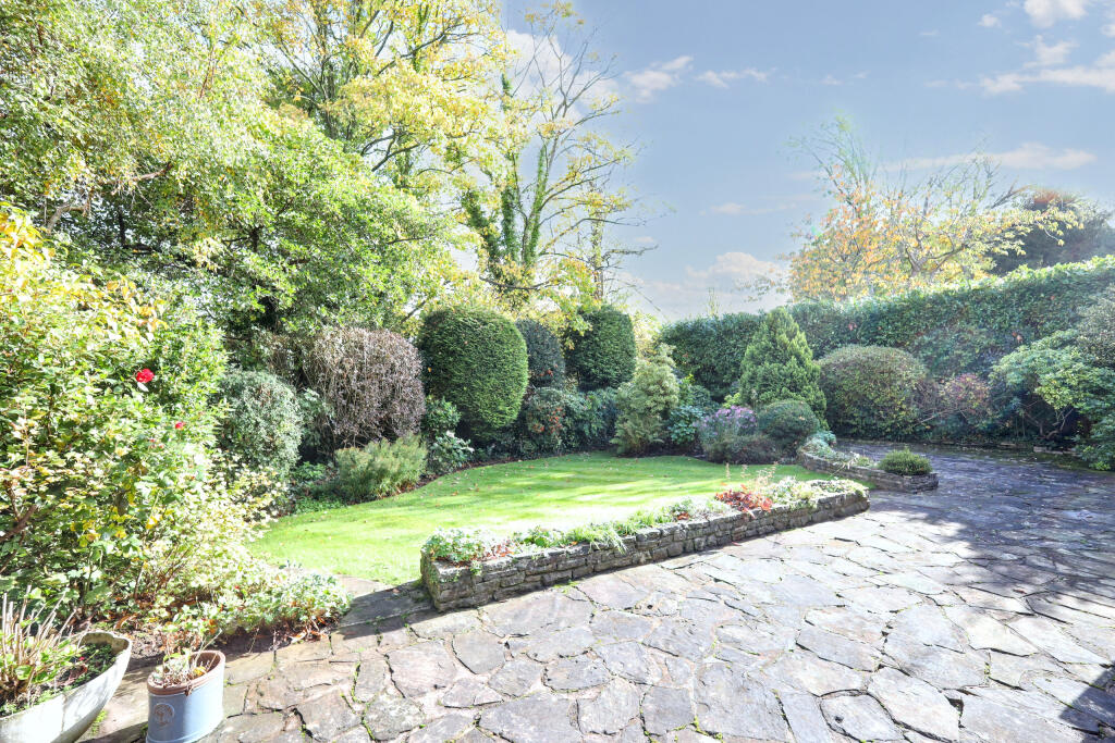 garden.JPG