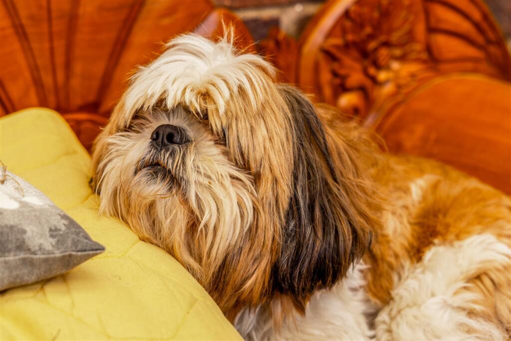 Lynwood (Sibsey)-1.jpg