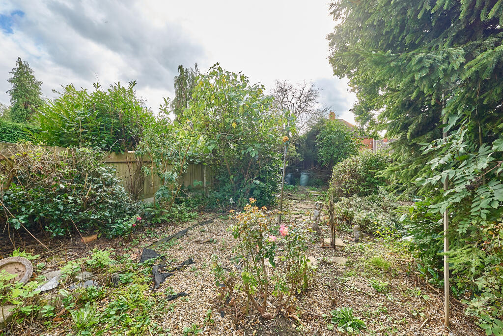 P1608500 T202509301930.jpg