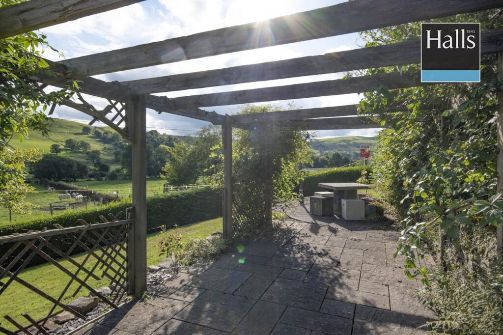 Back Garden.jpg