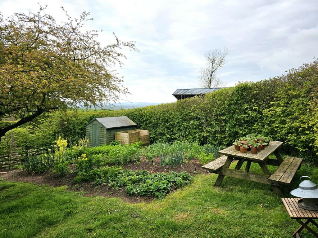 The Cider Press