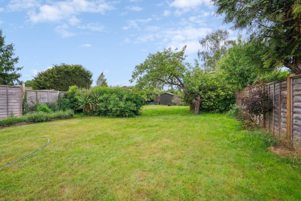 DSC00334 - 800px.jpg