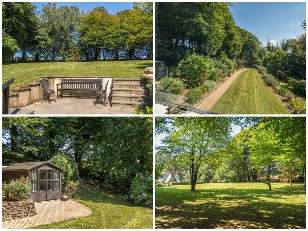 Back Page Collage.jpg